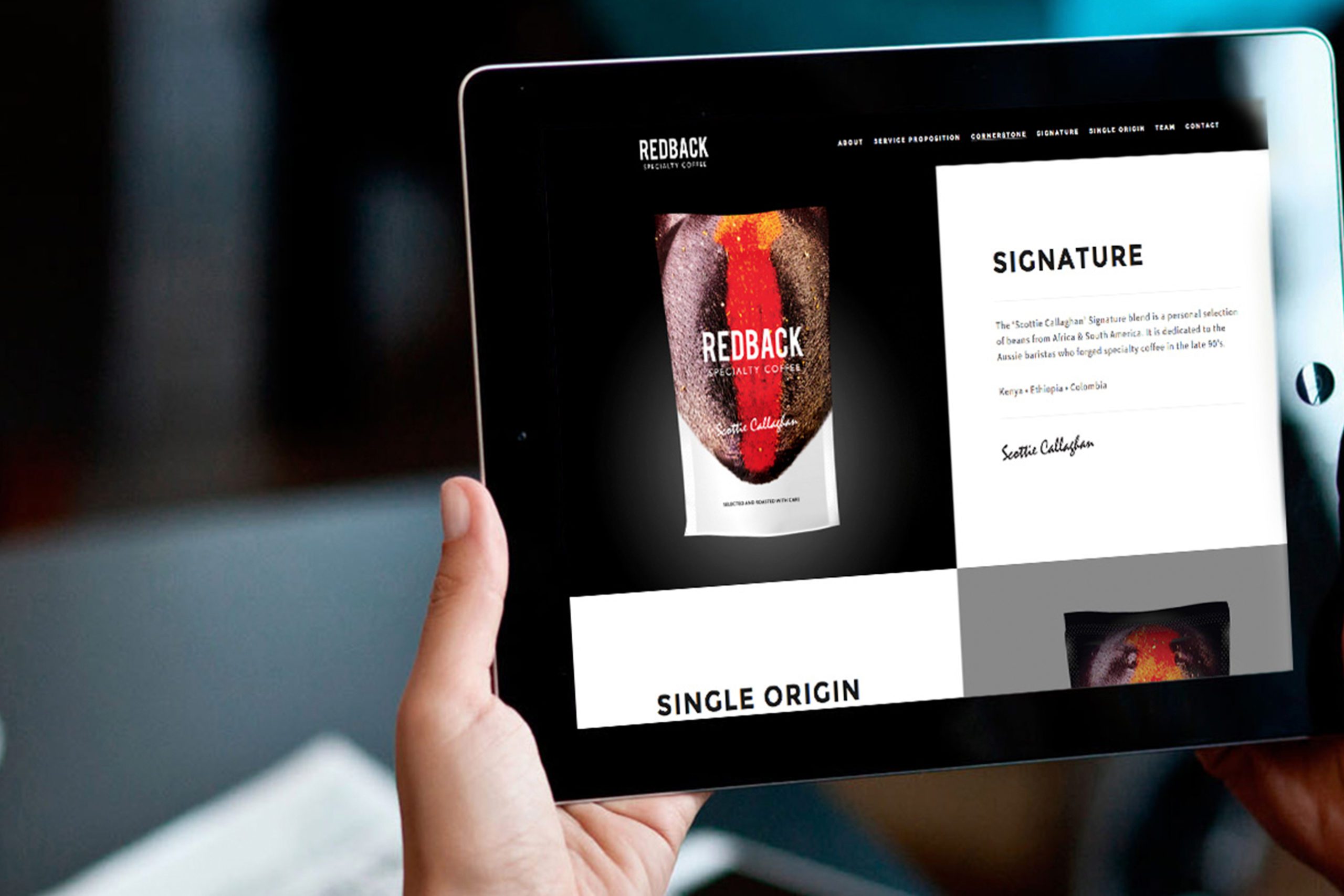 Redback Coffee website on tablet screen