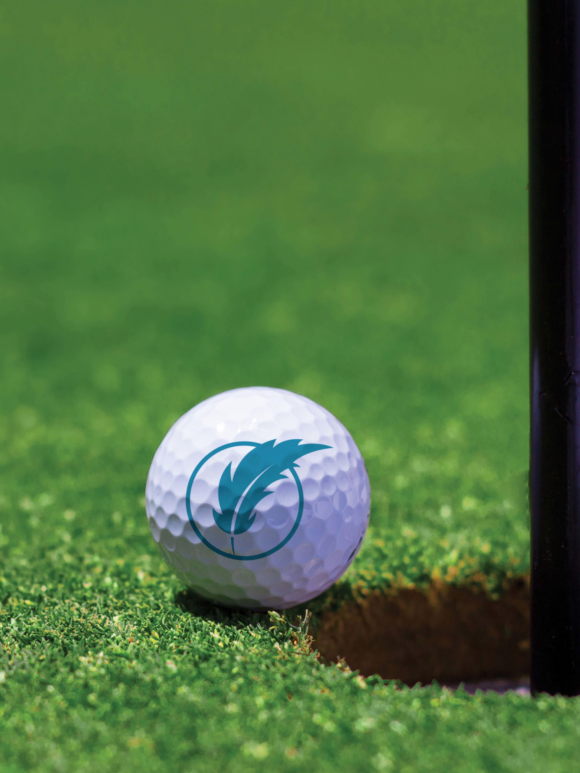 QDP Rebrand Icon Logo On Golf Ball