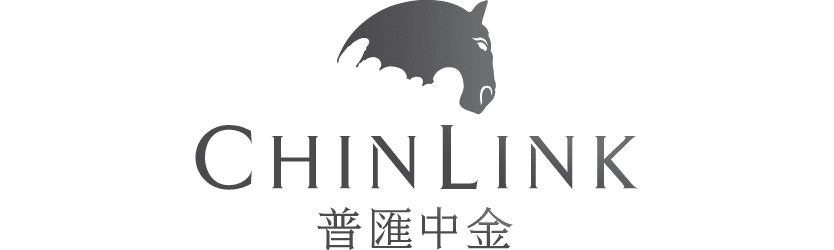 Chin Link Logo